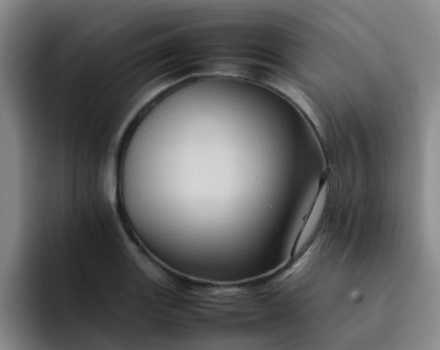 X0000092051131200709262004