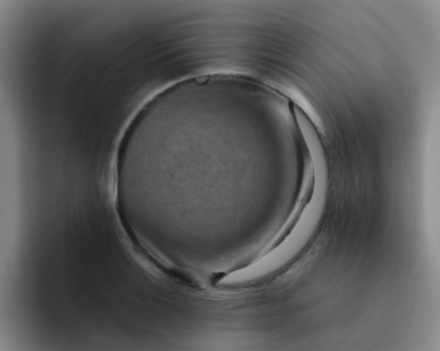 X0000092051132200709262004