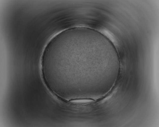 X0000092051133200709262004