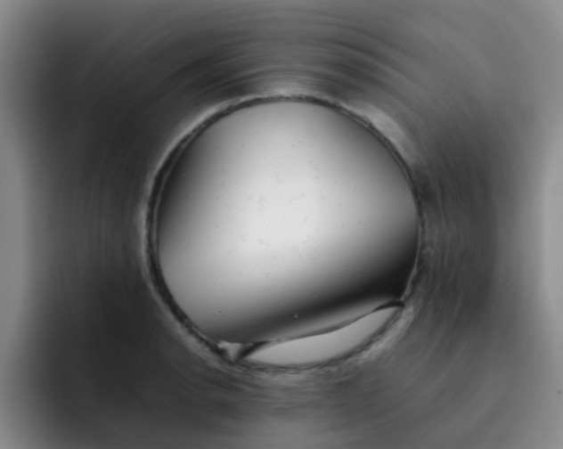 X0000092051134200709262004