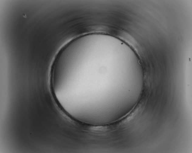 X0000092051135200709262004