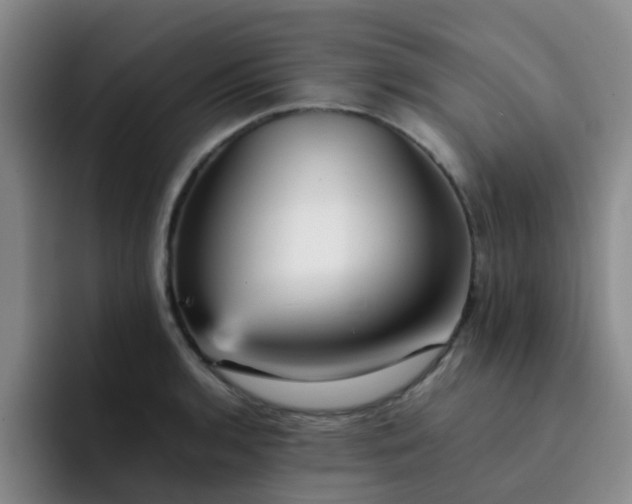 X0000092051136200709262004