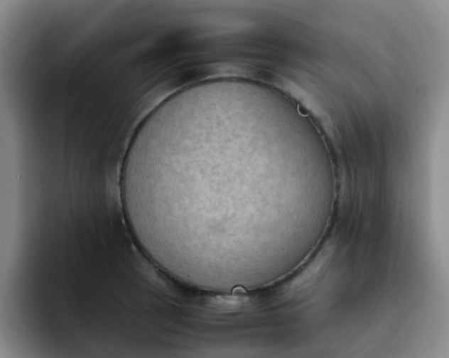 X0000092051137200709262004