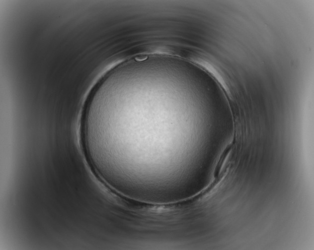 X0000092051139200709262004