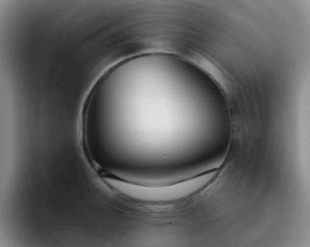 X0000092051140200709262005