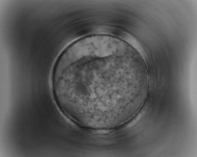 X0000092051141200709262005