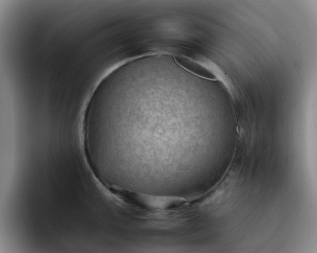 X0000092051143200709262005