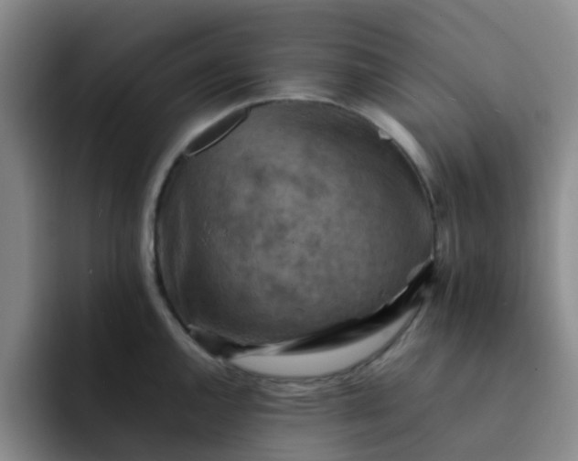 X0000092051144200709262005