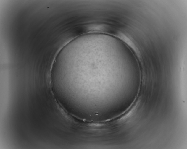 X0000092051145200709262005