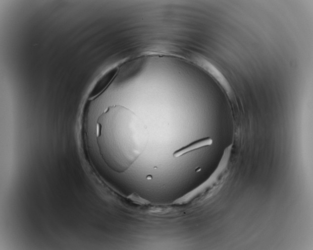 X0000092051146200709262005