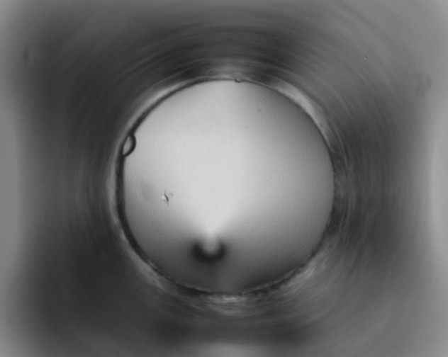 X0000092051147200709262005