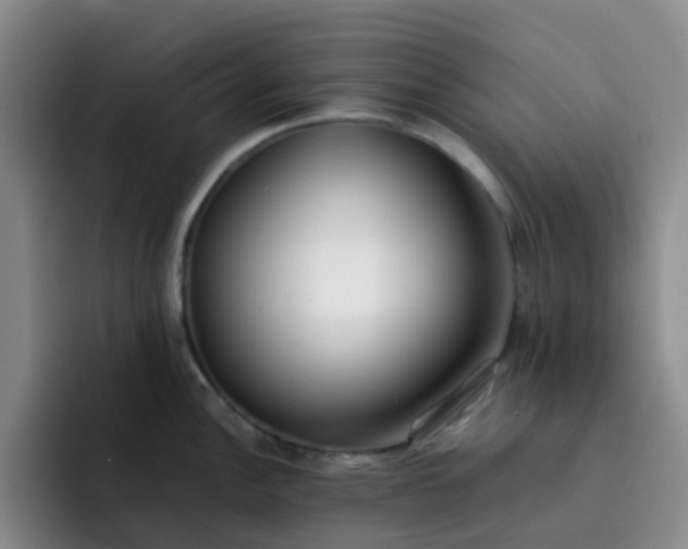 X0000092051148200709262005