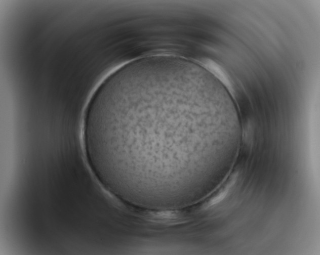 X0000092051149200709262005