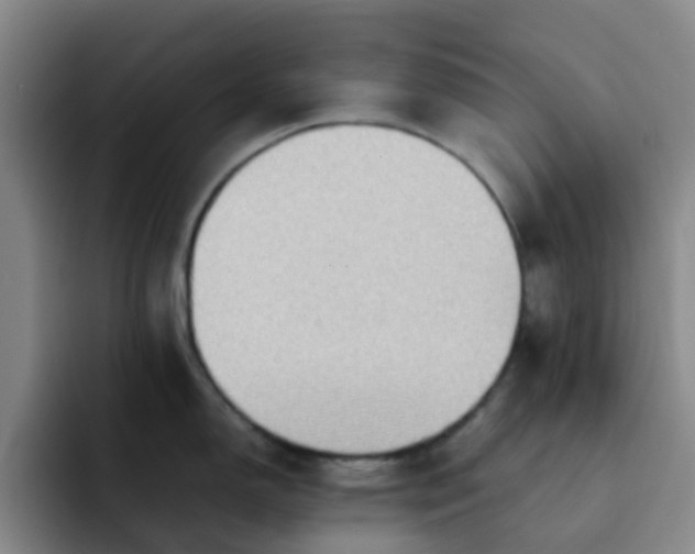 X0000092051150200709262005