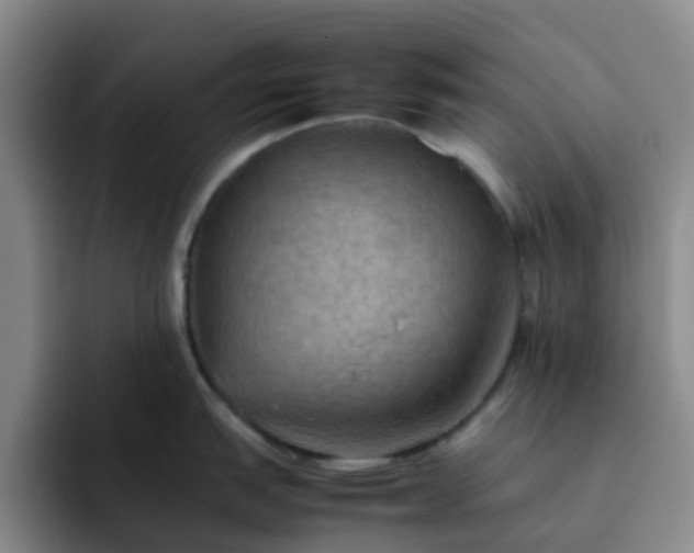 X0000092051151200709262005