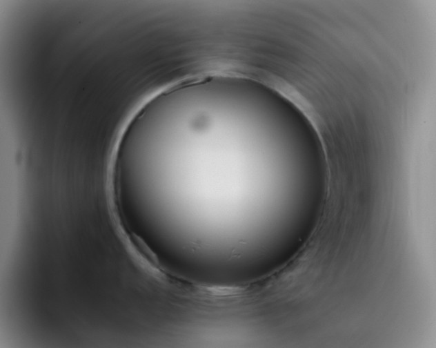 X0000092051152200709262005