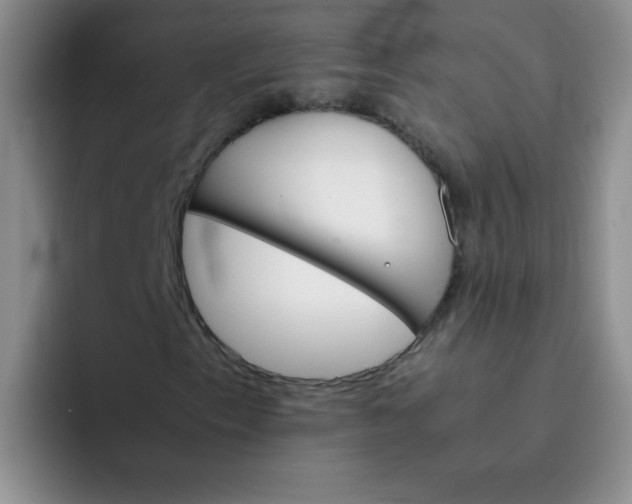 X0000092051153200709262004