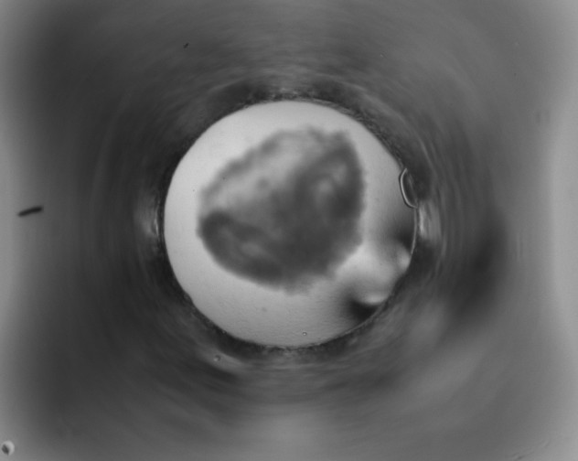 X0000092051155200709262004