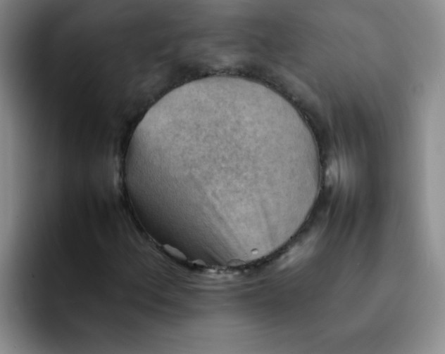 X0000092051156200709262004