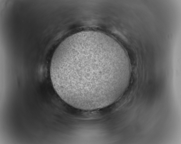 X0000092051159200709262004