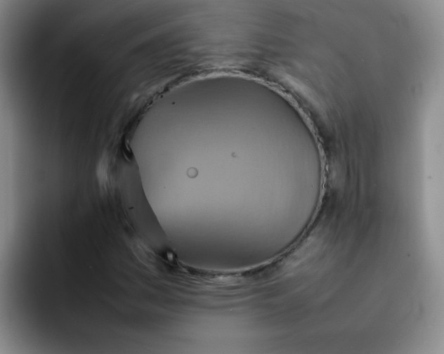 X0000092051161200709262004