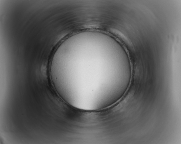 X0000092051162200709262004