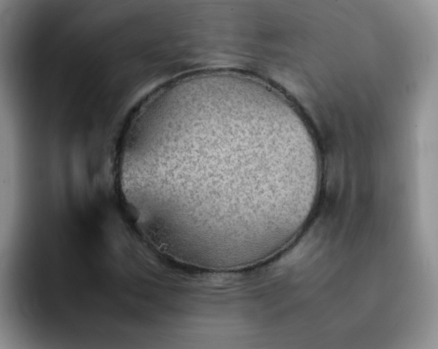 X0000092051163200709262004