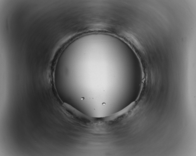 X0000092051164200709262004