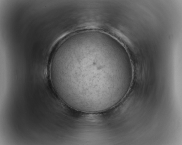 X0000092051166200709262004