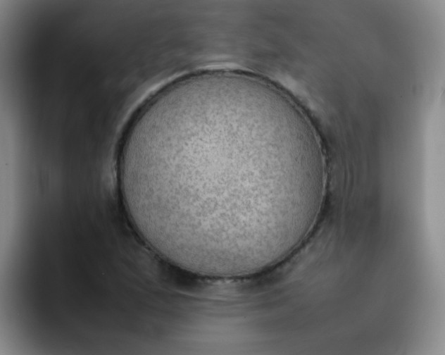 X0000092051167200709262004