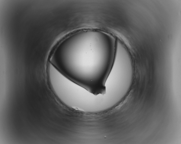 X0000092051168200709262004