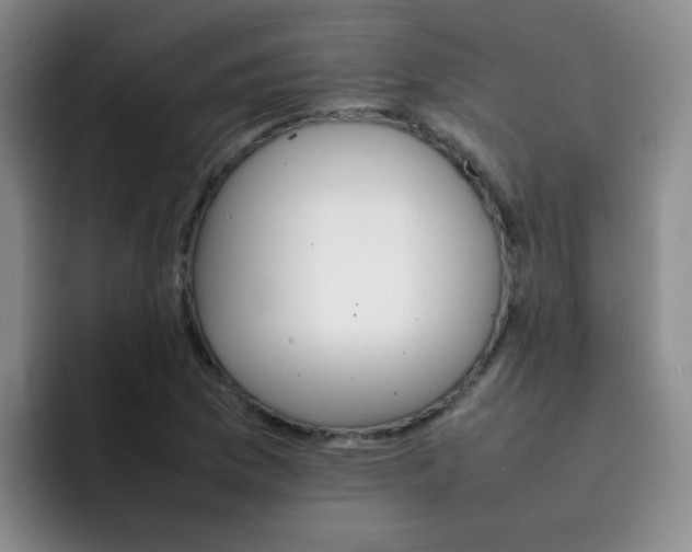 X0000092051169200709262004