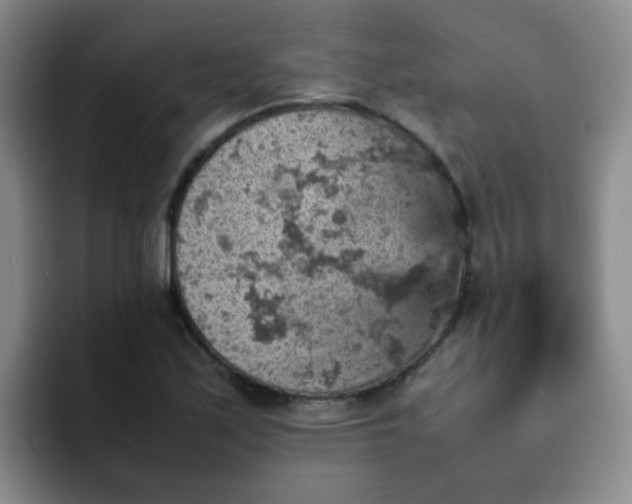 X0000092051171200709262004