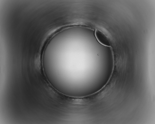 X0000092051172200709262004