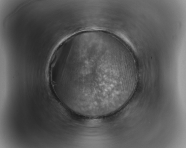 X0000092051173200709262004