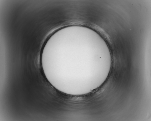 X0000092051174200709262004