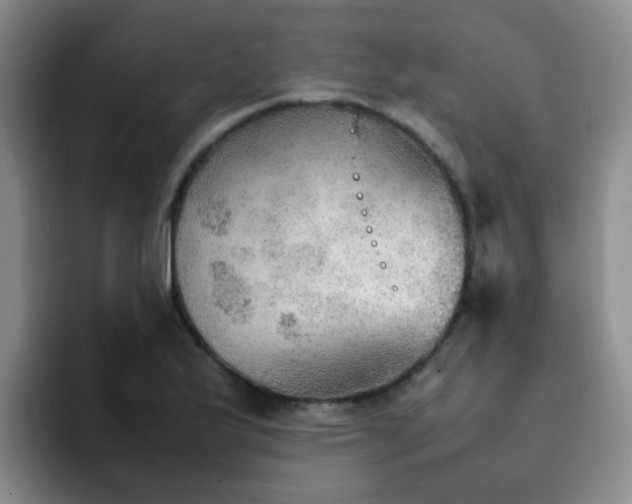 X0000092051175200709262004