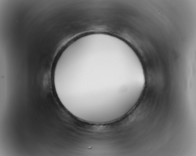 X0000092051176200709262004