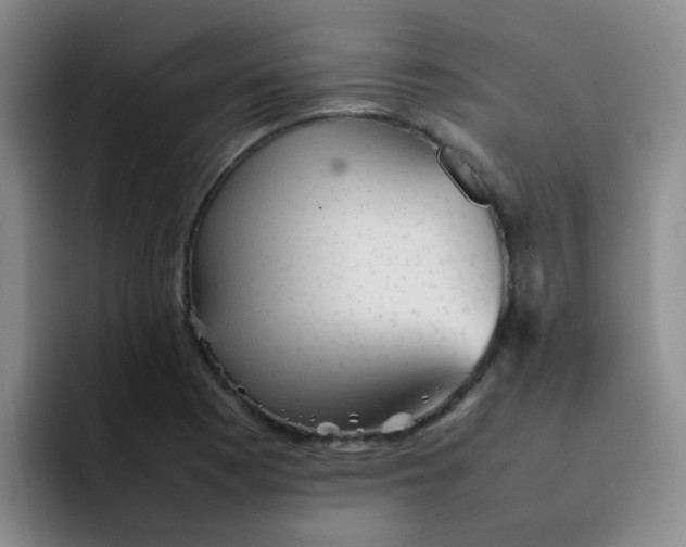 X0000092051177200709262004