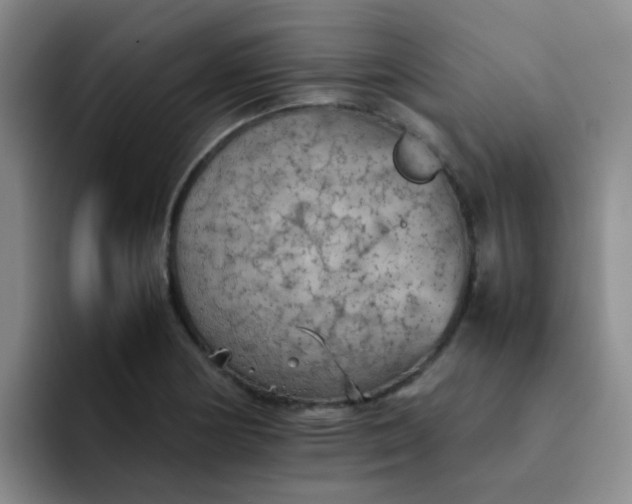 X0000092051178200709262004