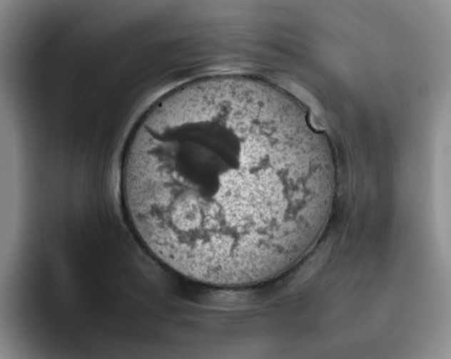 X0000092051179200709262004