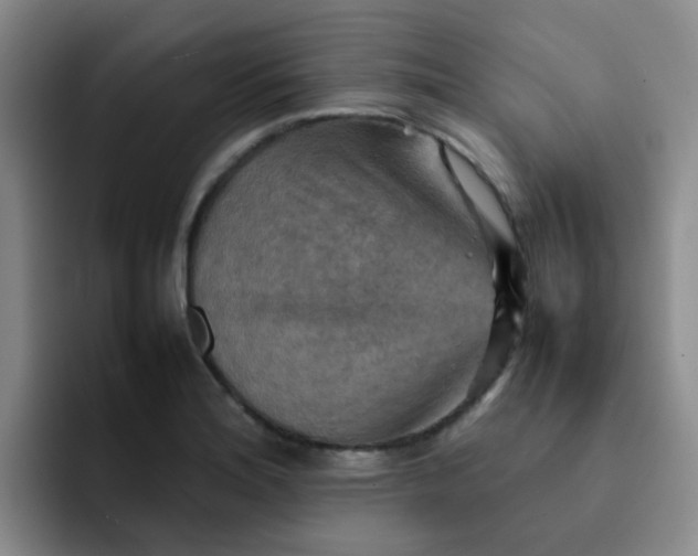 X0000092051180200709262004