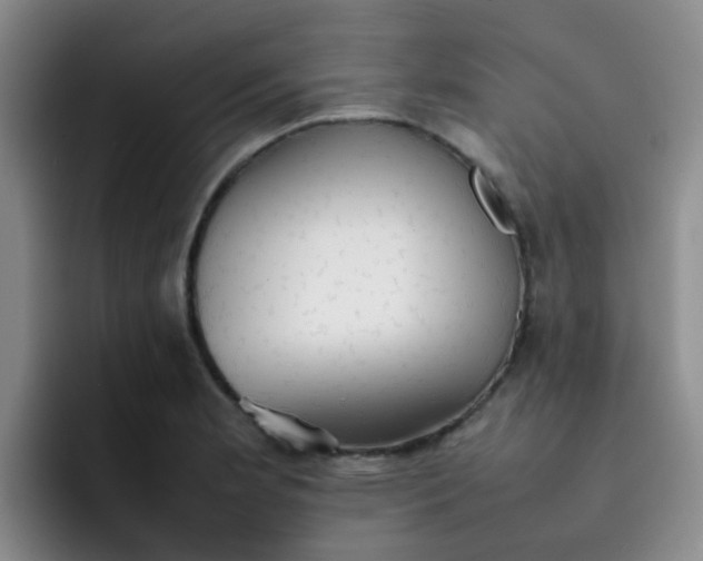 X0000092051181200709262004