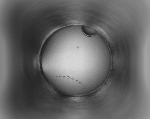 X0000092051182200709262004