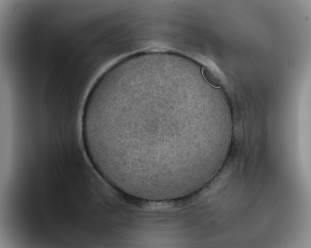 X0000092051183200709262004