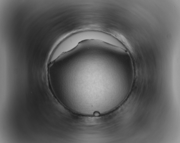 X0000092051184200709262004