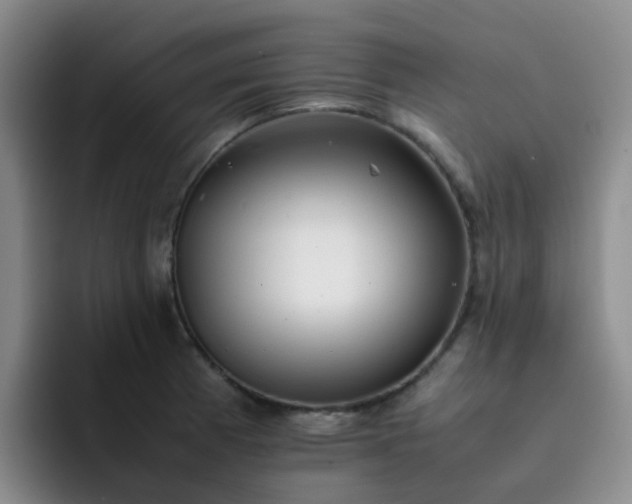 X0000092051185200709262004