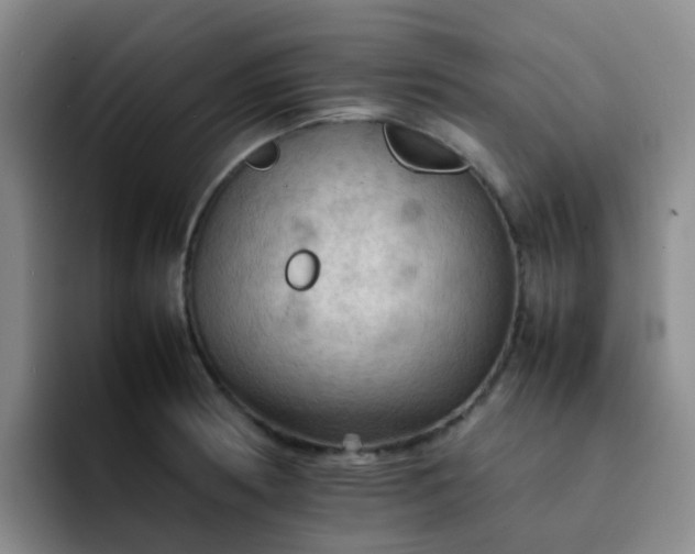 X0000092051186200709262004