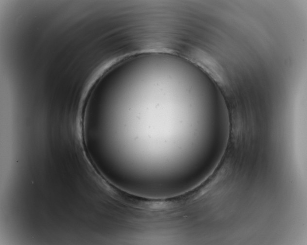 X0000092051188200709262004