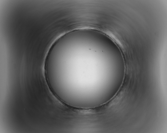 X0000092051189200709262004